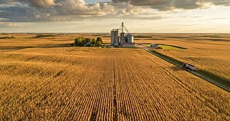 Weather Volatility and Export Shifts: Navigating Late Season Grain Markets