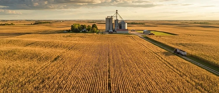 Weather Volatility and Export Shifts: Navigating Late Season Grain Markets