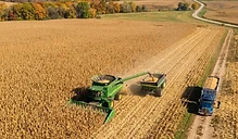 Harvest Momentum and Shifting Supply Outlooks