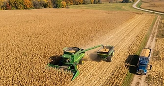 Harvest Momentum and Shifting Supply Outlooks
