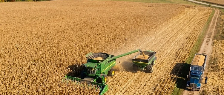 Harvest Momentum and Shifting Supply Outlooks