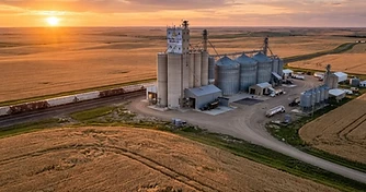 Geopolitical Tensions and Profit Taking: Analyzing Late August Grain Market Shifts