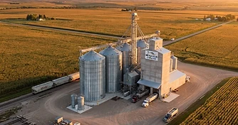 Navigating September Market Volatility Ahead of USDA Reports