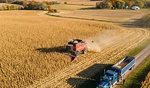 Harvest Momentum Builds as Markets Weigh Yield Uncertainty