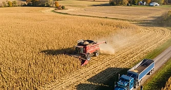 Harvest Momentum Builds as Markets Weigh Yield Uncertainty