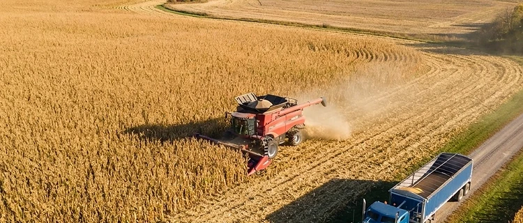 Harvest Momentum Builds as Markets Weigh Yield Uncertainty