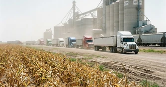 Heat Dome Volatility: Pricing Strategy as the 2026 Crop Enters its Critical Window