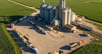 Pre-WASDE Positioning: Navigating Market Noise Before the August Report