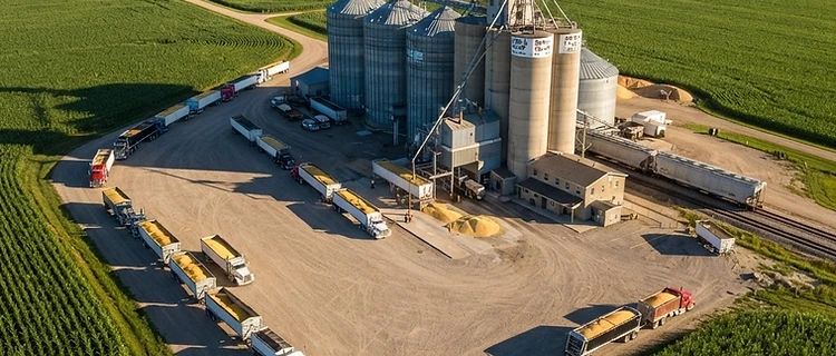 Pre-WASDE Positioning: Navigating Market Noise Before the August Report