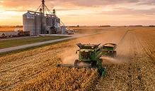 Late Season Weather and Export Demand Shape Harvest Strategy