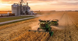 Late Season Weather and Export Demand Shape Harvest Strategy