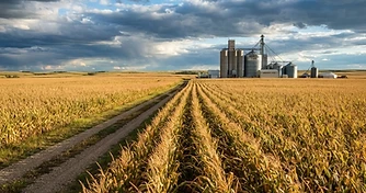 Market Volatility Intensifies: Assessing Yield Risks and Supply Shifts