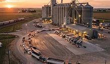 Harvest Pressure and Logistics: Navigating Late October Grain Markets