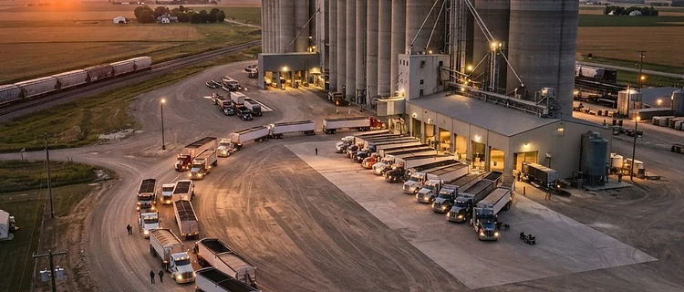 Harvest Pressure and Logistics: Navigating Late October Grain Markets