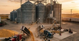 Grain Rally Hits Profit Taking as Black Sea Geopolitics Shift