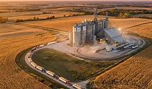 Harvest Progress and Export Demand: Navigating October Grain Markets