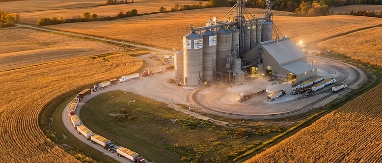 Harvest Progress and Export Demand: Navigating October Grain Markets