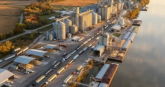 September WASDE Watch: Cash Basis Pressures and Export Spikes Ahead of Fall Harvest