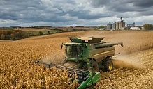 Harvest Delays and Stocks Data: Navigating October Market Headwinds