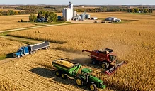 Corn Harvest Gains Momentum as Crop Ratings Hold Steady