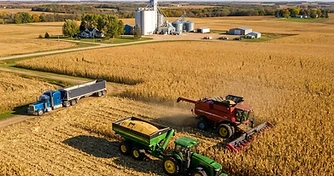 Corn Harvest Gains Momentum as Crop Ratings Hold Steady