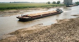 Pod-Fill Stress Meets River Volatility: Navigating the Late-July Pivot