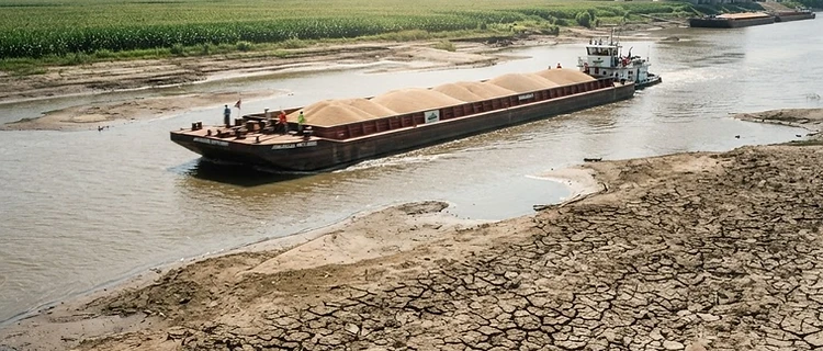 Pod-Fill Stress Meets River Volatility: Navigating the Late-July Pivot