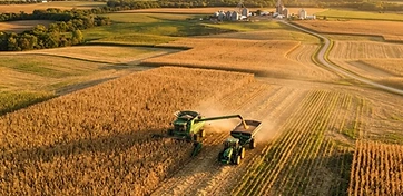 Understanding Grain Basis: A Farmer’s Guide