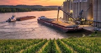 Beyond the Rating Drop: Securing Physical Margins in the August Pivot
