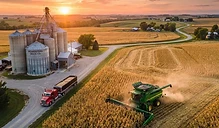 Harvest Progress Meets Export Demand as Markets Navigate Volatility