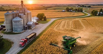 Harvest Progress Meets Export Demand as Markets Navigate Volatility
