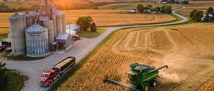 Harvest Progress Meets Export Demand as Markets Navigate Volatility