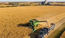Harvest Momentum Builds as Markets Navigate Yield Uncertainty