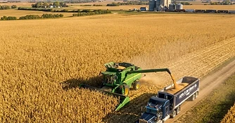 Harvest Momentum Builds as Markets Navigate Yield Uncertainty
