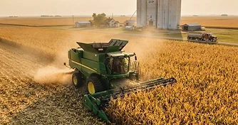 Midwest Heat and Black Sea Risks: Navigating Harvest Volatility