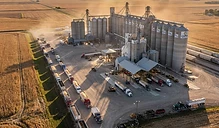 Harvest Pressure and Global Competition: Navigating Late October Grain Markets