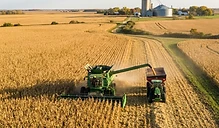 Harvest Momentum and Export Uncertainty: Navigating Late September Grain Markets