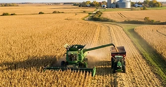 Harvest Momentum and Export Uncertainty: Navigating Late September Grain Markets