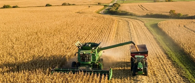 Harvest Momentum and Export Uncertainty: Navigating Late September Grain Markets