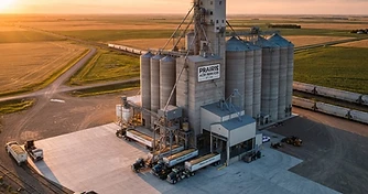 August Market Pulse: Navigating Export Shifts and Global Tensions
