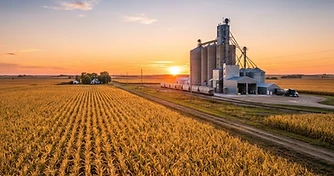 Market Volatility Returns: Assessing Crop Tour Results and Global Supply Risks