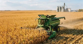 Harvest Pace and Yield Data: Navigating September Market Shifts