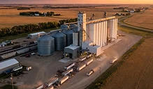 Tightening Supplies and Export Shifts: Navigating Late Season Grain Markets