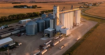 Tightening Supplies and Export Shifts: Navigating Late Season Grain Markets