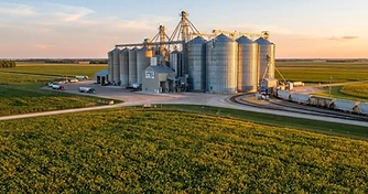 Soybean Surge and Crop Stress: Navigating September Market Volatility