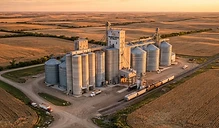 Market Positioning Ahead of USDA WASDE Report