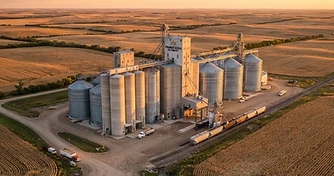 Market Positioning Ahead of USDA WASDE Report