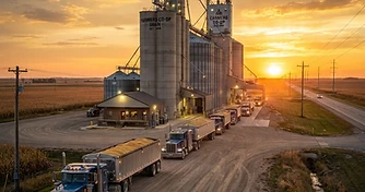 Harvest Pressure and WASDE Anticipation: Navigating October Grain Markets