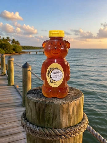 Plastic honey bear squeeze bottle