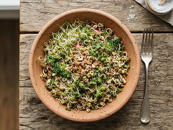 Avian Vitality Sprout Mix